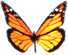 Interactive Butterfly